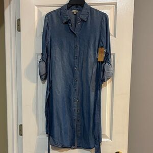 Blue Denim Button-Up Shirt Dress
